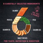 Harringtons Just 6 Grain-Free Salmon Wet Dog Food – 380g
