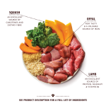 Lily's Kitchen Wet Food with Lamb for Adult Dogs (4+ Months) 400g