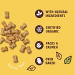 Dog Training Treats – Lily's Kitchen Organic Cheddar Cheese 80g