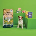Dog Training Treats – Lily's Kitchen Organic Cheddar Cheese 80g