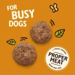 Lily's Kitchen Chicken Protein Bites for Dogs – 40g