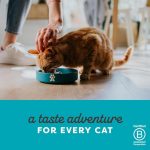 Applaws Tuna with Anchovy Wet Cat Food