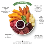 Lily's Kitchen Lamb Hotpot Wet Dog Food – 400g