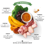 Lily's Kitchen Coronation Chicken Wet Dog Food - CHICKEN/400G