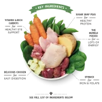 LILY'S KITCHEN Sunday Lunch Wet Dog Food - 150G