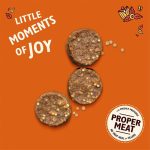 Lily's Kitchen Chomp-Away Chicken Bites Dog Treats - 70 g