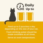 Applaws Natural Wet Cat Food Chicken & Lamb Jelly 70g
