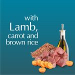 Dolina Noteci Piper Lamb, Carrot & Brown Rice Wet Dog Food – 800 g