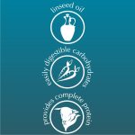 Dolina Noteci Piper Lamb, Carrot & Brown Rice Wet Dog Food – 800 g