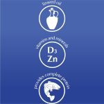 Dolina Noteci Piper Cod Wet Dog Food – 800 g