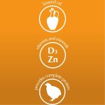 Dolina Noteci Piper with Quail Wet Dog Food – 400 g