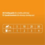 Dolina Noteci Piper with Quail Wet Dog Food – 400 g