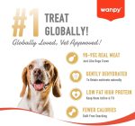 Wanpy Oven-Roasted Chicken Jerky Chip Dog Treats