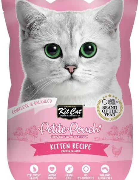 Kit Cat Petite Pouch Wet Cat Food with Chicken in Aspic for Kittens – 70g