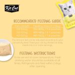 Kit Cat Petite Pouch Complete and Balanced Chicken and Salmon Cat Food 70 g