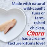 Inaba Churu chicken recipe lickable kitten treats 4 tubes 14g each