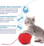Inaba Churu chicken recipe lickable kitten treats 4 tubes 14g each