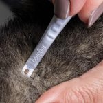 Beaphar Tick Pencil – White, 21g