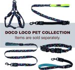 DOCO Loco Dog Collar Small Adjustable (27-37cm)-Orange