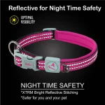 DOCO Small Orange Reflective Nylon Dog Collar (39-44x1.5cm)