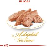 Royal Canin Persian Adult Wet Cat Food - 85G