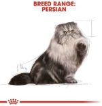 Royal Canin Persian Adult Wet Cat Food - 85G
