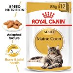 Maine Coon Wet Food – Royal Canin Adult Cat 85g