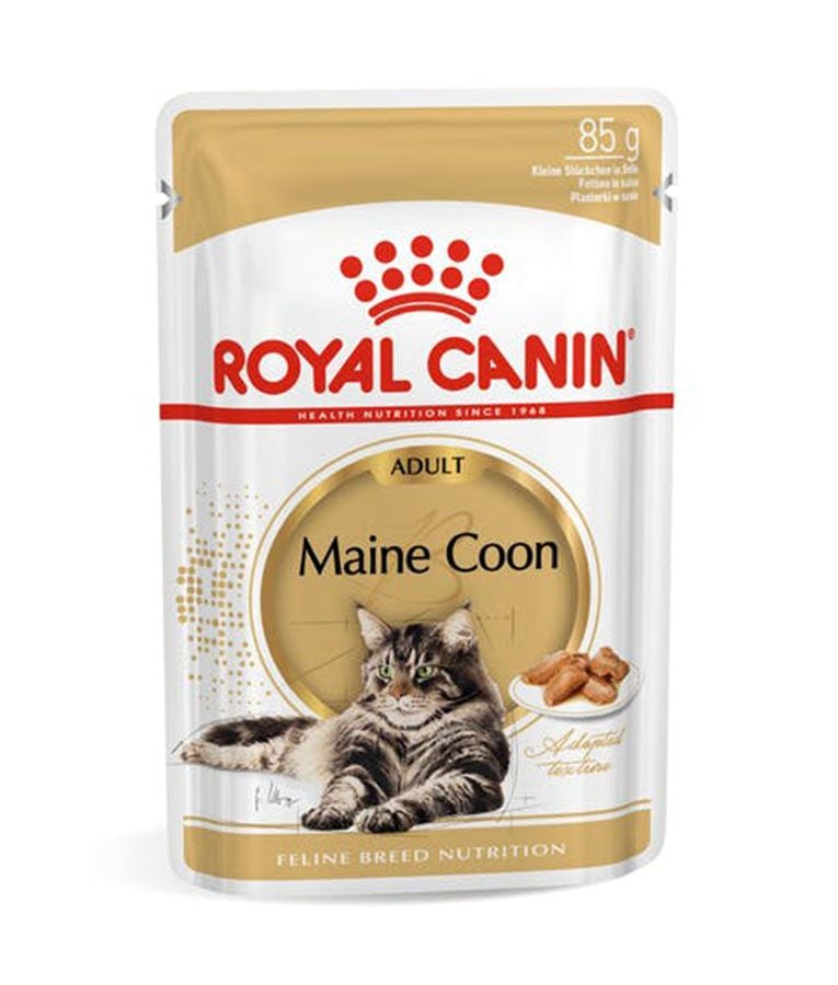 Maine Coon Wet Food – Royal Canin Adult Cat 85g