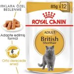 Royal Canin Wet Dog Food for Adult Poodles in Gravy – 85g