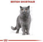 Royal Canin Wet Dog Food for Adult Poodles in Gravy – 85g