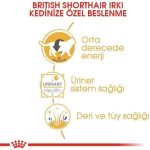 Royal Canin Wet Dog Food for Adult Poodles in Gravy – 85g