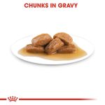 Royal Canin Maxi Breed Wet Food Chunks in Gravy 140g