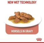 Royal Canin Indoor Sterilised in Gravy Cat Wet Food - 85G