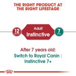 Royal Canin Instinctive Wet Food Slices in Jelly for Adult Cats 85g Pouch