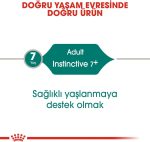 Royal Canin Instinctive 7+ Adult Wet Cat Food in Jelly 85g pouch for senior cats
