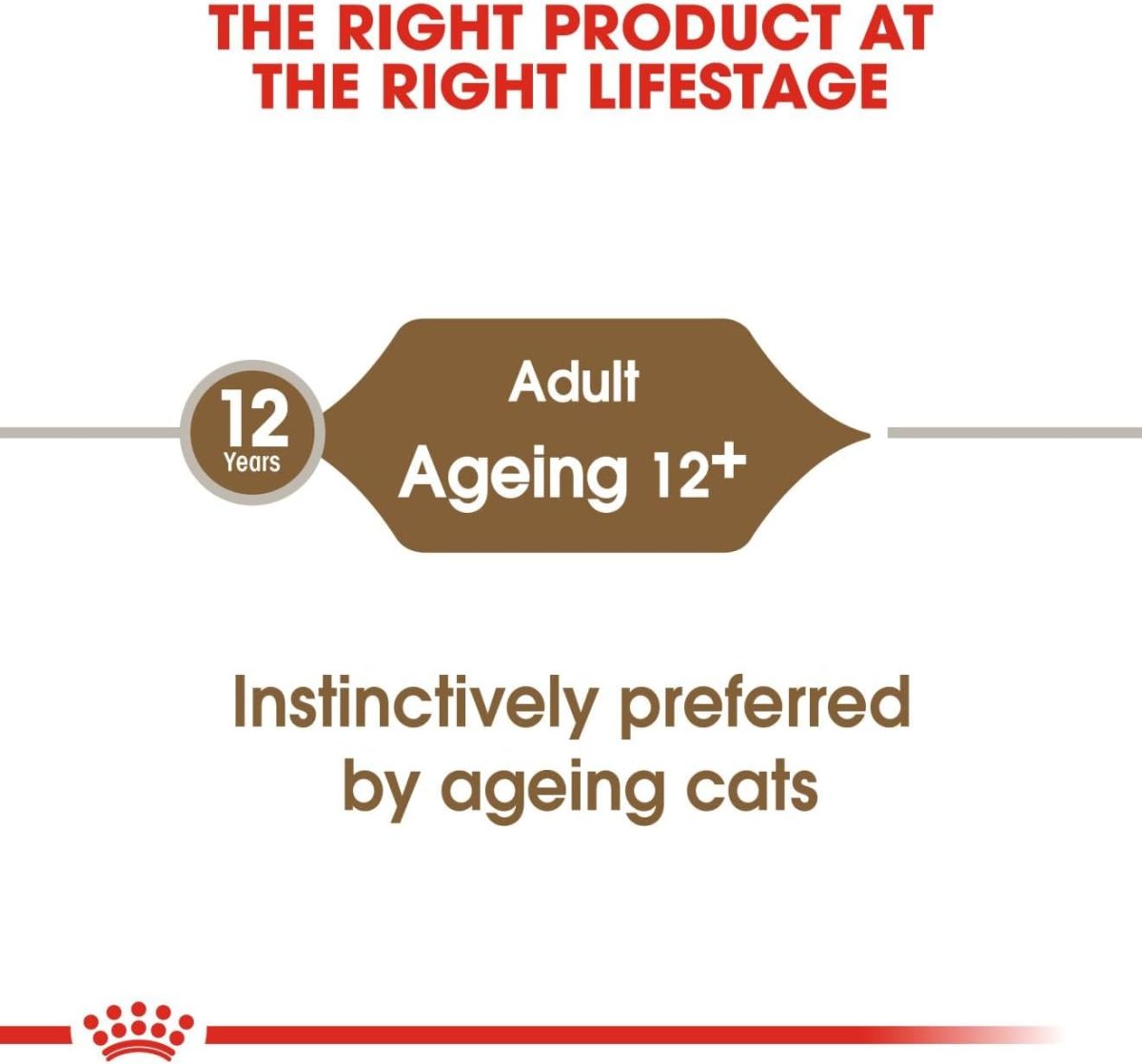 Royal Canin Ageing 12+ Wet Cat Food in Gravy 85g pouch pack