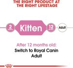 Royal Canin Wet Food Slices in Jelly for Kittens (Up to 12 Months)
