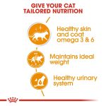 Royal Canin Hair & Skin in Jelly supports coat shine and skin health with omega-3, proteins, and moisture. Perfect for adult cats, 85g pouch.