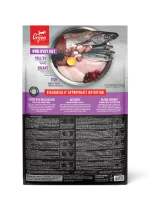 Orijen Puppy Large dog dry food 11.4kg