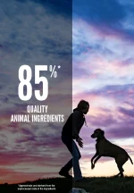 Orijen Puppy Large dog dry food 11.4kg