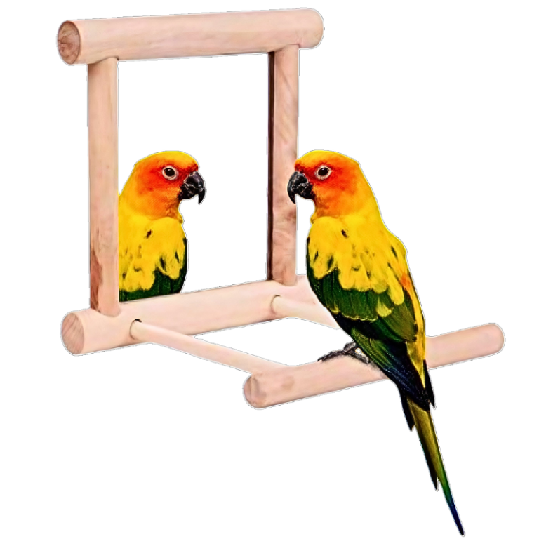 Pado Wooden Swing Bird Toy with Mirror