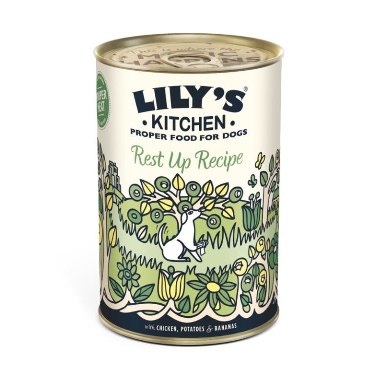 Lily's Kitchen Recovery Recipe Wet Dog Food - 400G