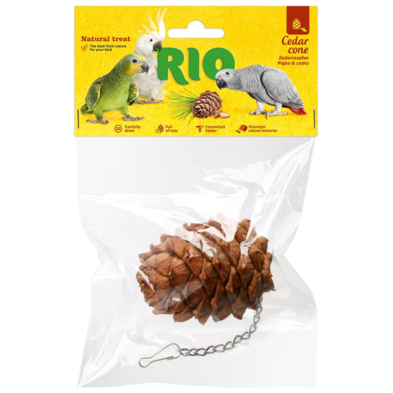 bird treat, cedar cone bird toy, natural bird chew, parrot chew toy, bird beak health, bird mental stimulation