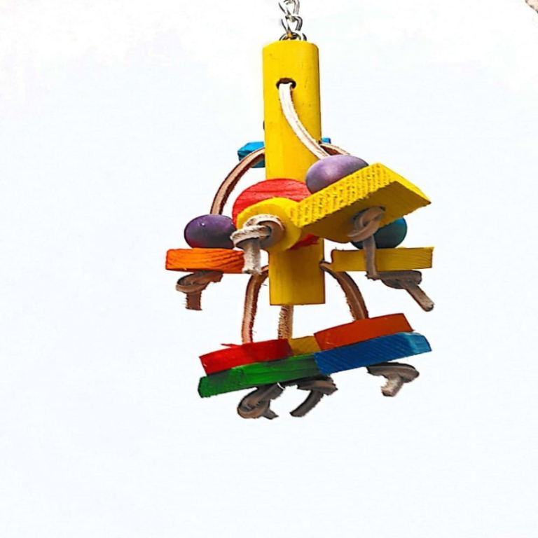 Saas Multicolored Wooden Hanging Bird Toy