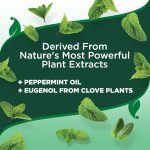 Vet's Best Flea & Tick Home Spray for Dogs – 945ml with Peppermint Oil & Eugenol