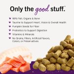 Stella & Chewy's Sea-Licious Freeze-Dried Raw Dinner Morsels Cat Food with Salmon & Cod – 99g