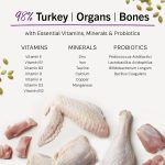 Stella & Chewy's Tummy Ticklin Freeze-Dried Cat Food – Turkey, 99g