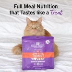 Stella & Chewy's Tummy Ticklin Freeze-Dried Cat Food – Turkey, 99g