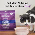 Stella & Chewy's Freeze-Dried Raw Absolutely Rabbit Dinner Morsels Cat Food, 99g