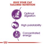 Royal Canin, Sensible 33, Dry Cat Food, Digestive Care, Sensitive Cats, Adult Cat Food, Cat Nutrition, Urinary Health